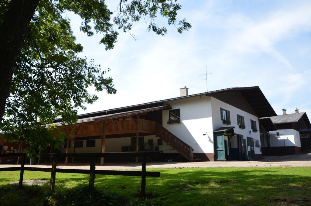 Hotel Reitzentrum Hausruckhof Ampflwang im Hausruckwald Ngoại thất bức ảnh